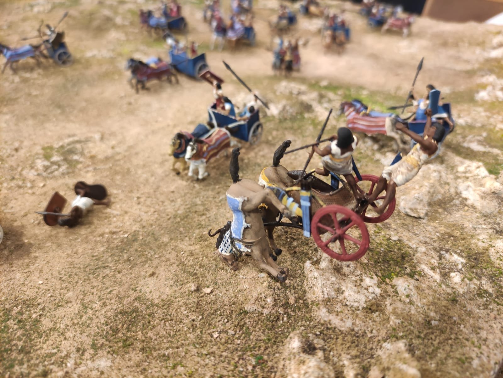 WhatsApp Image 2025 11 18 At 12.16.05